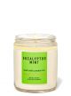 BATH & BODY WORKS EUCALYPTUS MINT SINGLE WICK CANDLE 