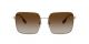 Burberry For Her sunglasses with a LIGHT GOLD Metal frame and BROWN GRADIENT lens.  Lens width is 58mm with model number 0BE3119.