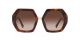 Valentino For Her sunglasses with a HAVANA Acetate frame and GRADIENT BROWN lens.  Lens width is 57mm with model number 0VA4053.