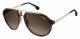 Carrera  brand UNISEX sunglasses with a HAVANA GOLD frame and BROWN SHADED lens with a lens width of 58mm and model number Carrera 1003/S