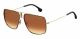 Carrera  brand UNISEX sunglasses with a BLACK GOLD frame and BROWN SHADED lens with a lens width of 58mm and model number Carrera 1006/S