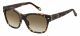 Fossil  sunglasses For Her with a HAVANA frame and BROWN SHADED lens with a lens width of 55mm and model number FOS 2040/S