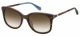 Fossil  sunglasses For Her with a HORN BROWN BLUE frame and BROWN SHADED lens with a lens width of 53mm and model number FOS 2079/S
