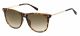 Fossil  sunglasses For Her with a HAVANA frame and BROWN SHADED lens with a lens width of 54mm and model number FOS 3090/G/S