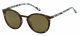 Fossil  sunglasses For Him with a HAVANA frame and BROWN lens with a lens width of 50mm and model number FOS 3092/S