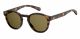 Polaroid  brand UNISEX sunglasses with a HAVANA frame and BRONZE POLARIZED lens with a lens width of 49mm and model number PLD 6042/S