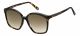 Tommy Hilfiger  sunglasses For Her with a HAVANA frame and BROWN SHADED lens with a lens width of 57mm and model number TH 1669/S